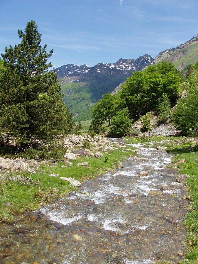 Gite D'Etape Ascou La Forge Exteriör bild